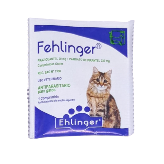 Fehlinger Gato 1 comp