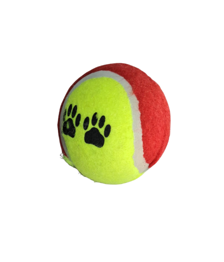 Pelota de Tenis Para Perros