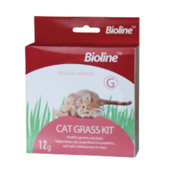 Cat Grass Kit