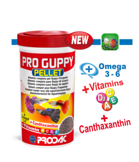 Alimento Para Peces Pro Guppy Prodac 100ml