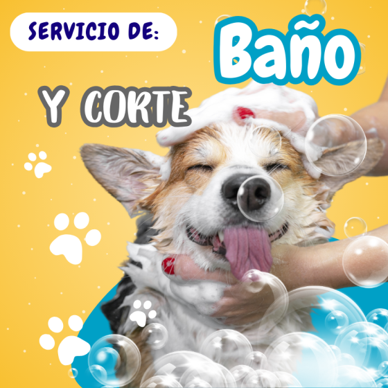 Servicio de Peluquería Canina (BASE) 0 a 10 kg