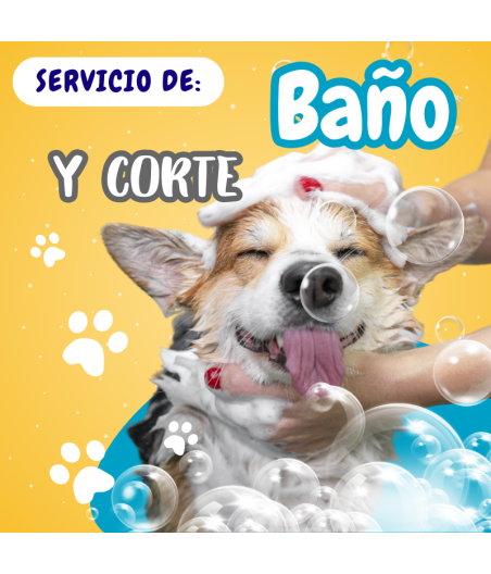 Servicio de Peluquería Canina (BASE) 0 a 10 kg