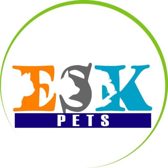 Pez Catalina o Banjo